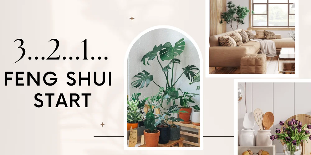3...2...1... Feng Shui – Start