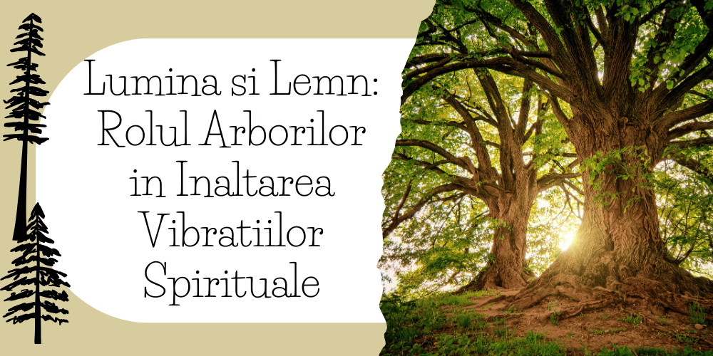 lumina_si_lemn_rolul_arborilor_in_inaltarea_vibratiilor_spirituale__1_.png