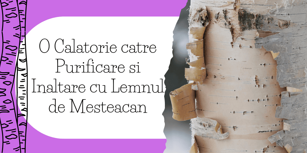 o_calatorie_catre_purificare_si_inaltare_cu_lemnul_de_mesteacan__1_.png