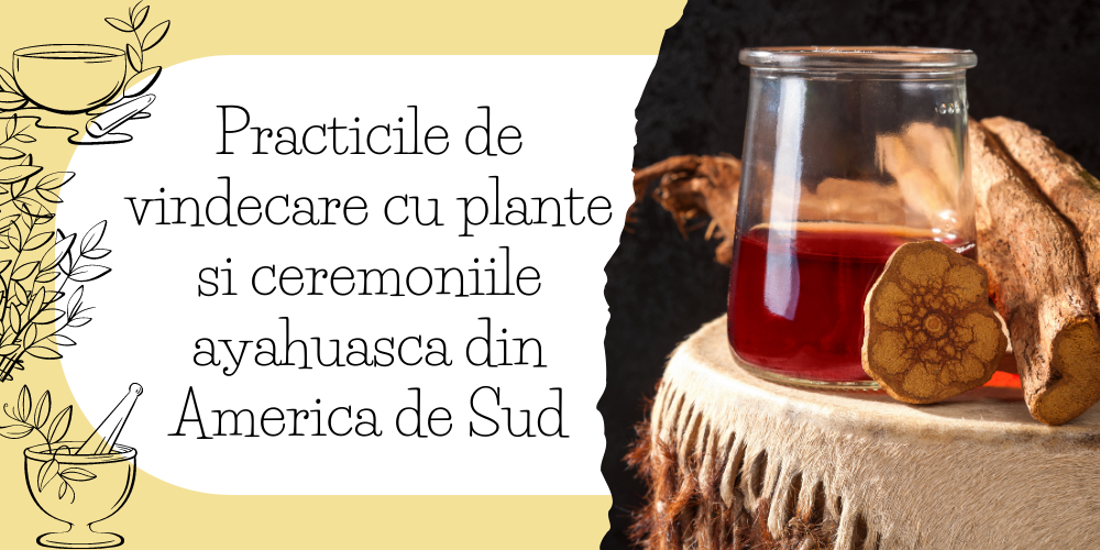 Practicile de vindecare cu plante si ceremoniile ayahuasca din America de Sud